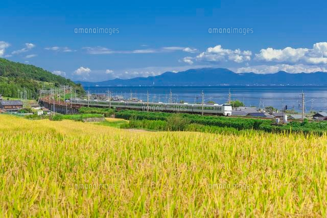 サンダーバードと田と琵琶湖
(c)NOBUAKI SUMIDA/SEBUN PHOTO