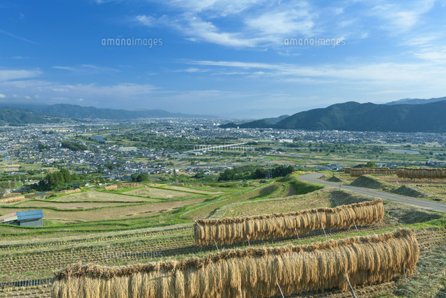 姨捨の棚田のはざかけと千曲川
(c)NOBUAKI SUMIDA/SEBUN PHOTO