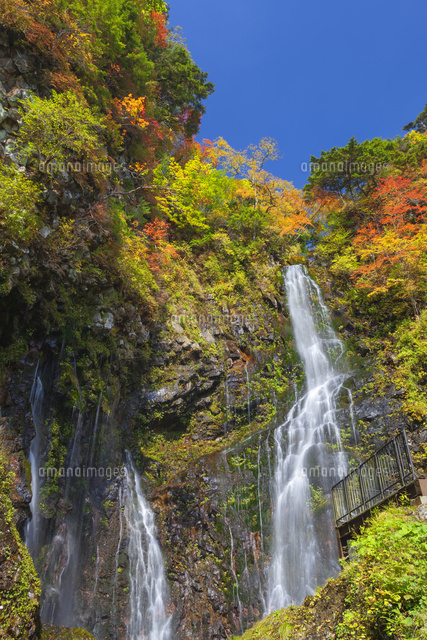 紅葉の幕滝
(c)NOBUAKI SUMIDA/SEBUN PHOTO