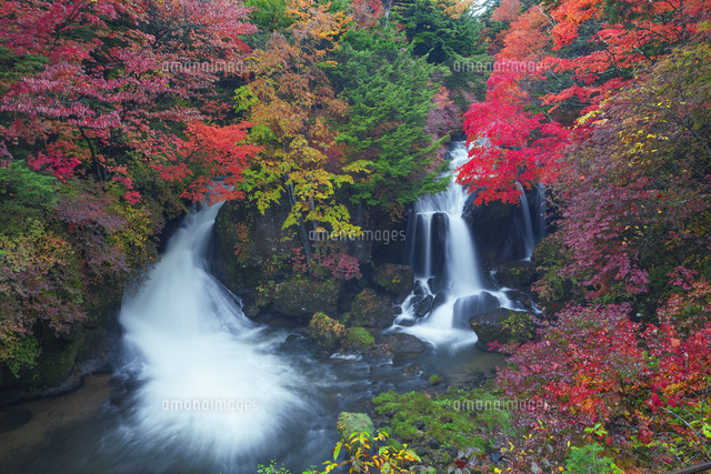 紅葉の竜頭ノ滝
(c)NOBUAKI SUMIDA/SEBUN PHOTO