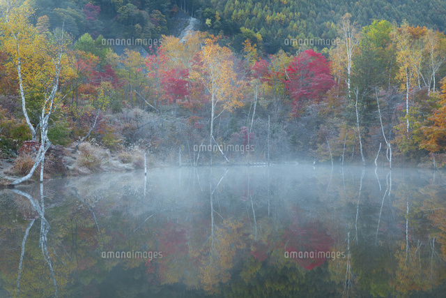 紅葉のまいめの池と朝霧
(c)NOBUAKI SUMIDA/SEBUN PHOTO