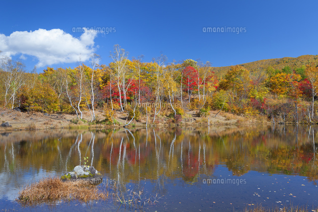 紅葉のまいめの池と青空
(c)NOBUAKI SUMIDA/SEBUN PHOTO