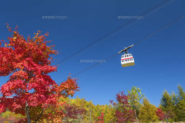 紅葉と新穂高ロープウェイ
(c)NOBUAKI SUMIDA/SEBUN PHOTO