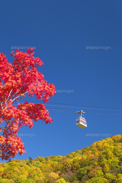 紅葉と新穂高ロープウェイ
(c)NOBUAKI SUMIDA/SEBUN PHOTO