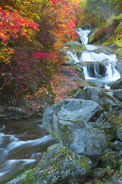 紅葉のおしどり隠しの滝
(c)NOBUAKI SUMIDA/SEBUN PHOTO