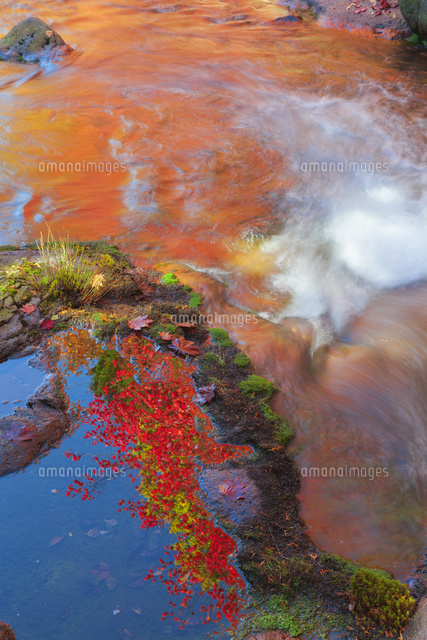 紅葉の横谷渓谷
(c)NOBUAKI SUMIDA/SEBUN PHOTO