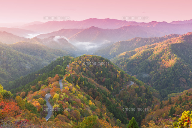 紅葉のおにゅう峠と朝霧
(c)NOBUAKI SUMIDA/SEBUN PHOTO