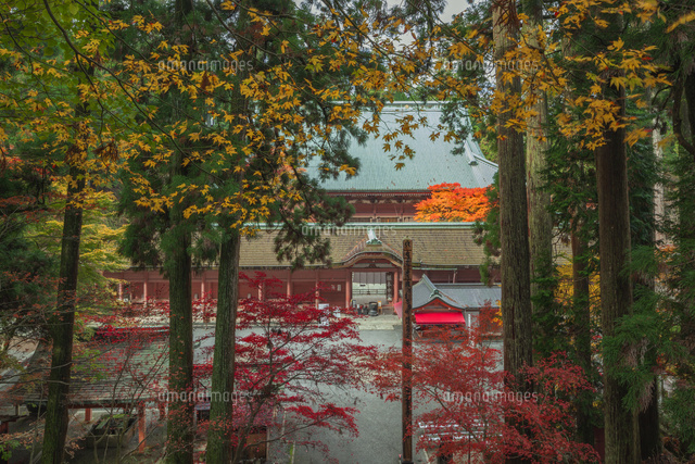 紅葉の比叡山延暦寺の根本中堂
(c)NOBUAKI SUMIDA/SEBUN PHOTO