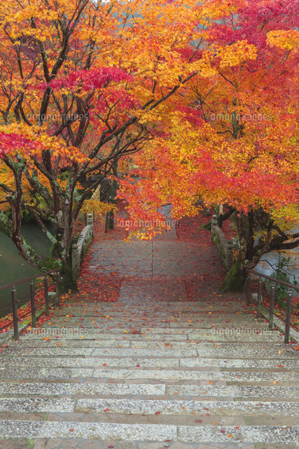 紅葉の永谷山円通寺
(c)NOBUAKI SUMIDA/SEBUN PHOTO
