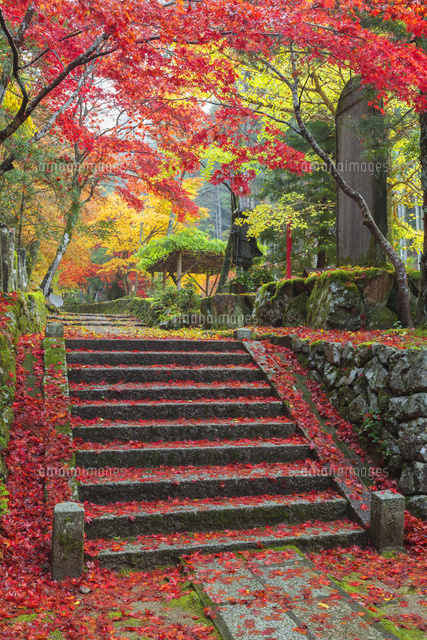 紅葉の岩屋山石龕寺参道
(c)NOBUAKI SUMIDA/SEBUN PHOTO