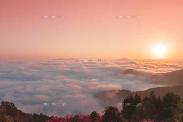 岩屋山の雲海
(c)NOBUAKI SUMIDA/SEBUN PHOTO