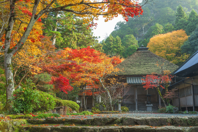 紅葉の岩瀧寺
(c)NOBUAKI SUMIDA/SEBUN PHOTO