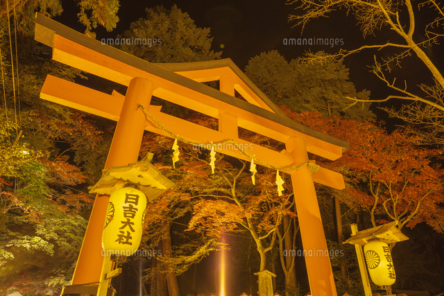 紅葉の日吉大社のライトアップ
(c)NOBUAKI SUMIDA/SEBUN PHOTO