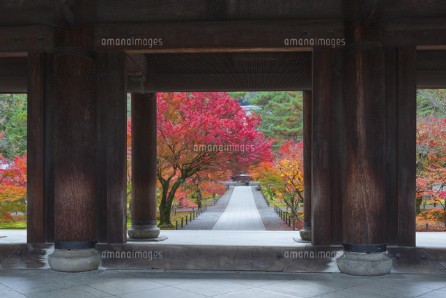 紅葉の南禅寺の三門
(c)NOBUAKI SUMIDA/SEBUN PHOTO