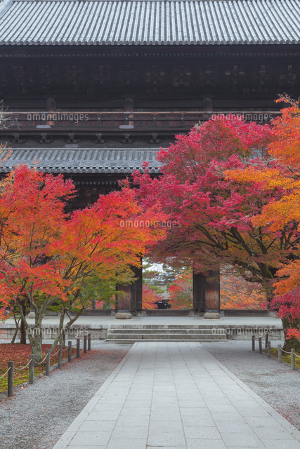 紅葉の南禅寺の三門
(c)NOBUAKI SUMIDA/SEBUN PHOTO