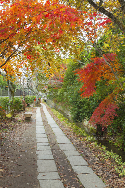 紅葉の哲学の道
(c)NOBUAKI SUMIDA/SEBUN PHOTO