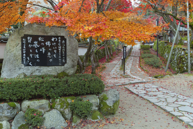 紅葉の金剛輪寺参道
(c)NOBUAKI SUMIDA/SEBUN PHOTO