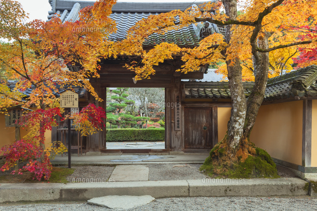 紅葉の西明寺
(c)NOBUAKI SUMIDA/SEBUN PHOTO