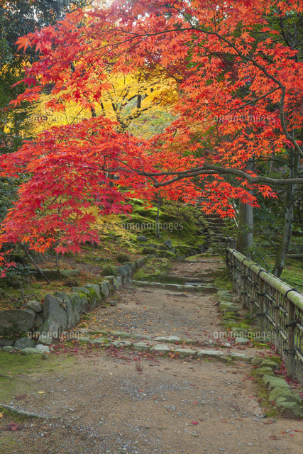 紅葉の西明寺
(c)NOBUAKI SUMIDA/SEBUN PHOTO