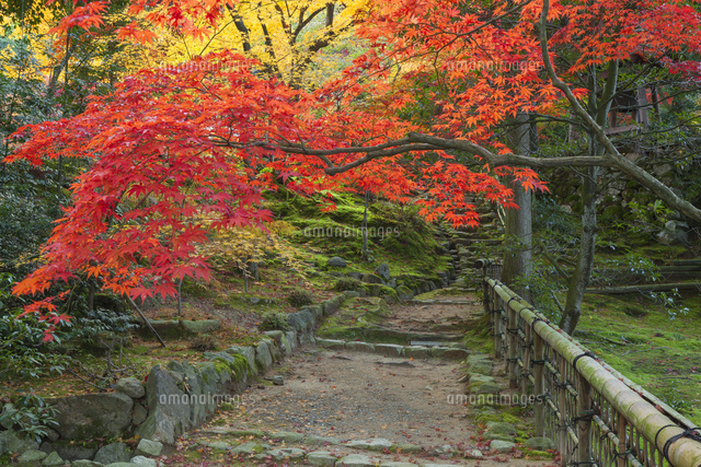 紅葉の西明寺
(c)NOBUAKI SUMIDA/SEBUN PHOTO