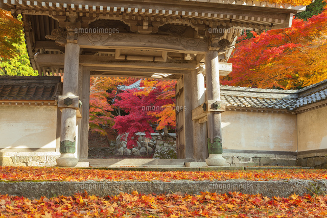 紅葉の東光寺の山門
(c)NOBUAKI SUMIDA/SEBUN PHOTO