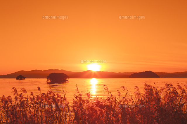 琵琶湖の夕日とヨシ
(c)NOBUAKI SUMIDA/SEBUN PHOTO