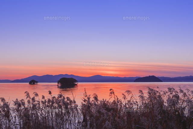 琵琶湖の夕景とヨシ
(c)NOBUAKI SUMIDA/SEBUN PHOTO