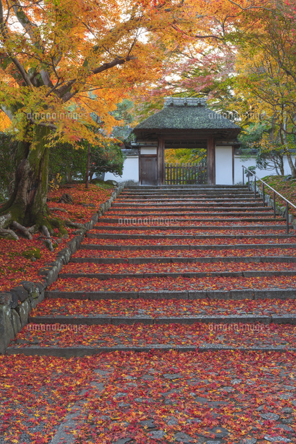 紅葉の安楽寺
(c)NOBUAKI SUMIDA/SEBUN PHOTO
