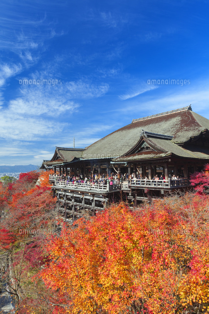 紅葉の清水寺の本堂
(c)NOBUAKI SUMIDA/SEBUN PHOTO