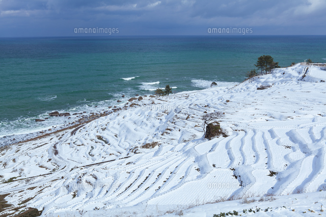 雪の白米千枚田と海
(c)NOBUAKI SUMIDA/SEBUN PHOTO