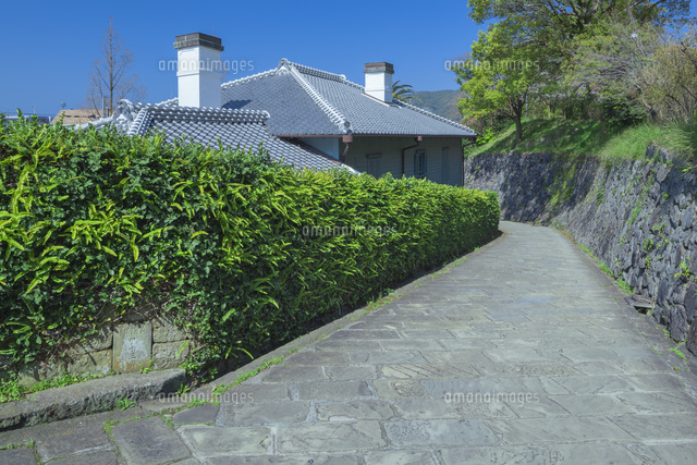 新緑のオランダ坂
(c)NOBUAKI SUMIDA/SEBUN PHOTO