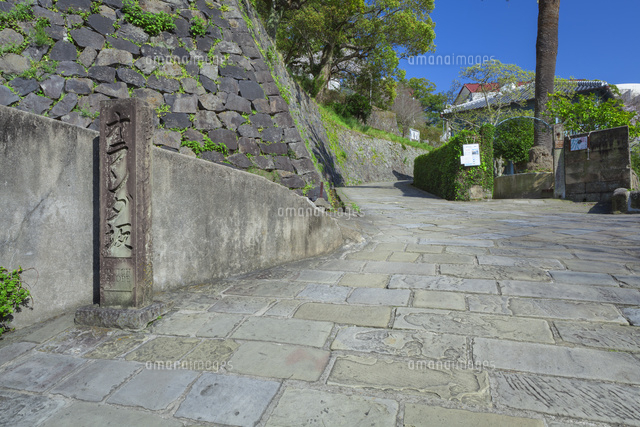 新緑のオランダ坂
(c)NOBUAKI SUMIDA/SEBUN PHOTO