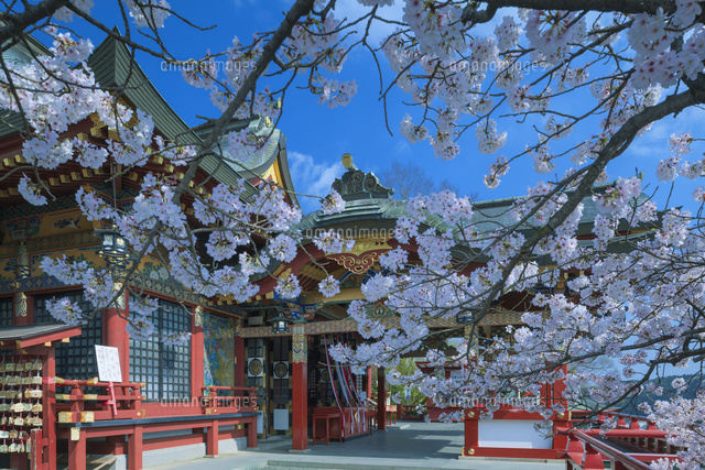 桜の祐徳稲荷神社
(c)NOBUAKI SUMIDA/SEBUN PHOTO