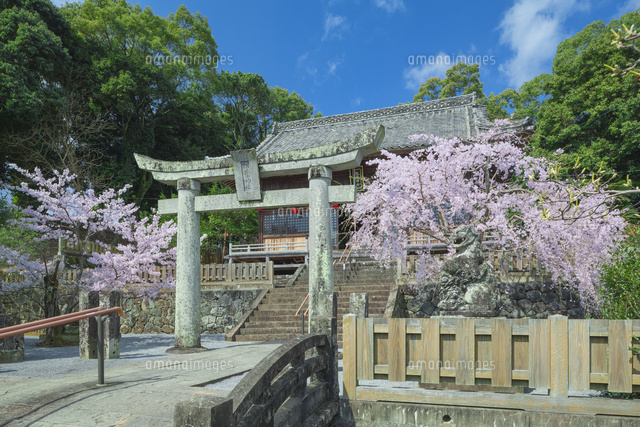 旭ヶ岡公園
(c)NOBUAKI SUMIDA/SEBUN PHOTO