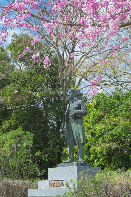 旭ヶ岡公園
(c)NOBUAKI SUMIDA/SEBUN PHOTO