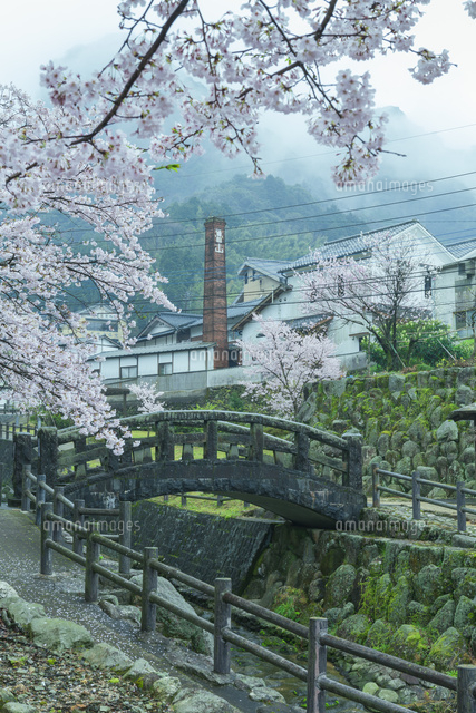 霧の大川内山の街並
(c)NOBUAKI SUMIDA/SEBUN PHOTO