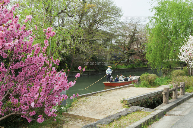 春の柳川川下り
(c)NOBUAKI SUMIDA/SEBUN PHOTO
