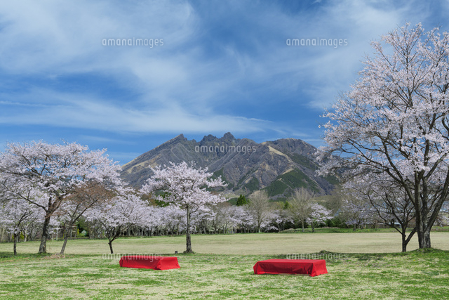 根子岳と桜
(c)NOBUAKI SUMIDA/SEBUN PHOTO