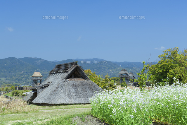 春の吉野ヶ里遺跡
(c)NOBUAKI SUMIDA/SEBUN PHOTO