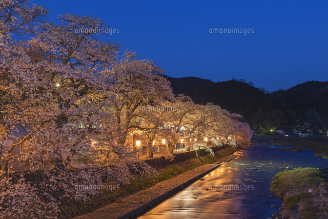 美甘宿場桜のライトアップ
(c)NOBUAKI SUMIDA/SEBUN PHOTO