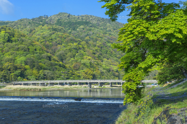 新緑の渡月橋と桂川
(c)NOBUAKI SUMIDA/SEBUN PHOTO