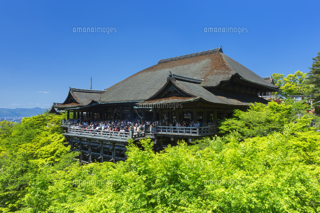 新緑の清水寺本堂
(c)NOBUAKI SUMIDA/SEBUN PHOTO