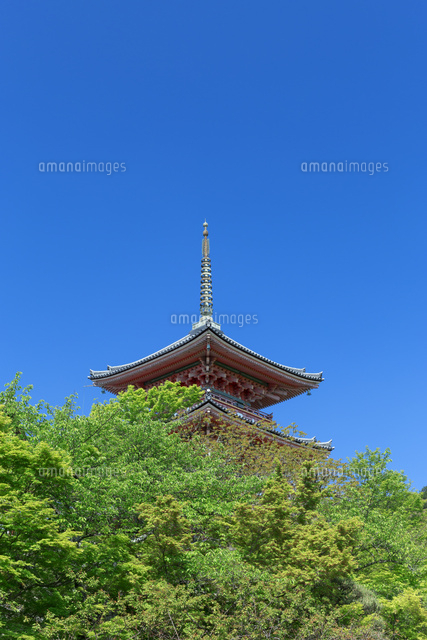 新緑の清水寺三重塔
(c)NOBUAKI SUMIDA/SEBUN PHOTO