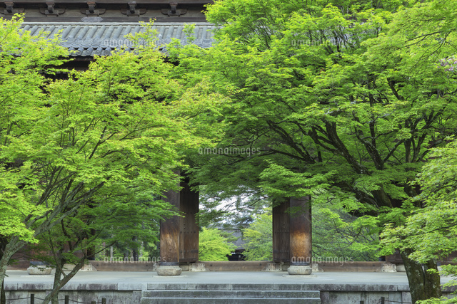 新緑の南禅寺三門
(c)NOBUAKI SUMIDA/SEBUN PHOTO