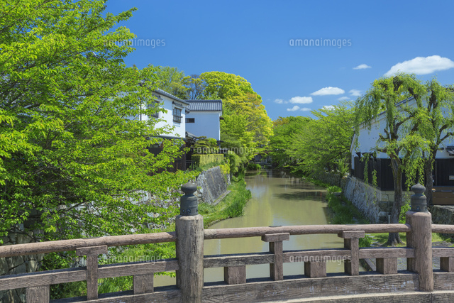 新緑の八幡掘り
(c)NOBUAKI SUMIDA/SEBUN PHOTO