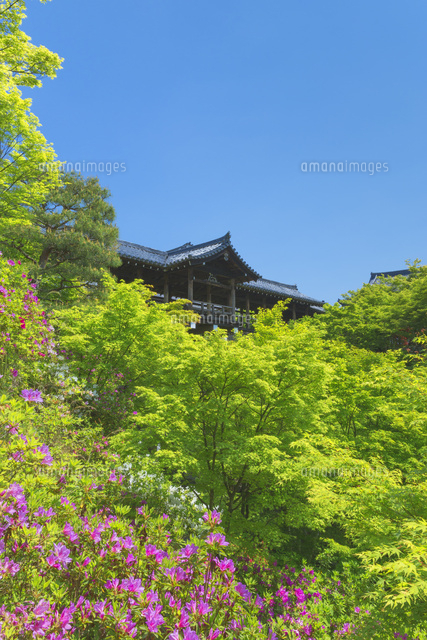 新緑の東福寺
(c)NOBUAKI SUMIDA/SEBUN PHOTO