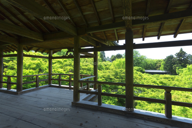 通天橋からの新緑
(c)NOBUAKI SUMIDA/SEBUN PHOTO