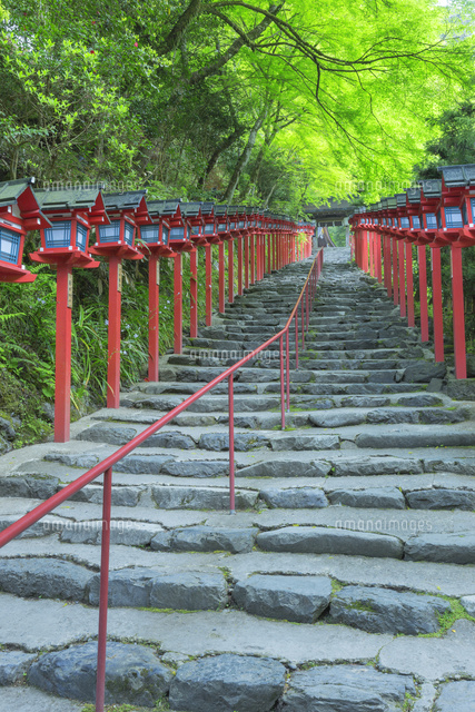 新緑の貴船神社本宮参道
(c)NOBUAKI SUMIDA/SEBUN PHOTO
