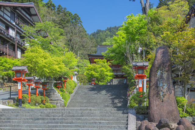 新緑の鞍馬寺の仁王門
(c)NOBUAKI SUMIDA/SEBUN PHOTO