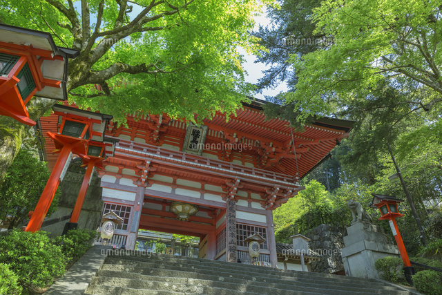 新緑の鞍馬寺の仁王門
(c)NOBUAKI SUMIDA/SEBUN PHOTO